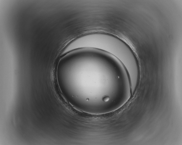 X0000115730105200911191420