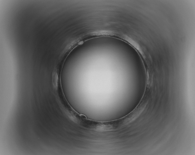 X0000115730109200911191420