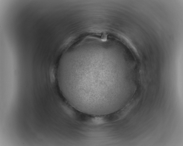 X0000115730114200911191420