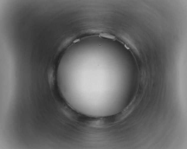 X0000115730116200911191420