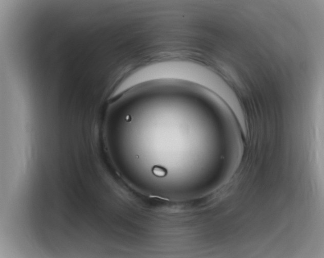 X0000115730120200911191420