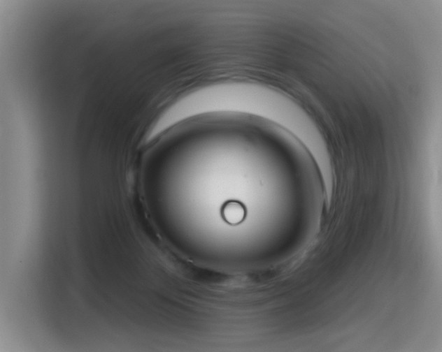 X0000115730124200911191420