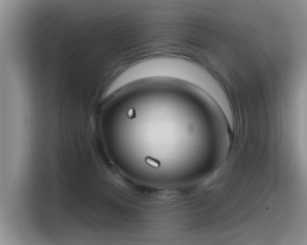 X0000115730128200911191420