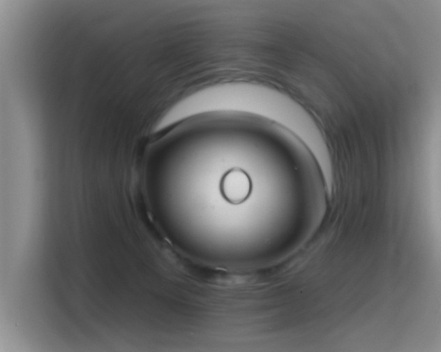 X0000115730129200911191420