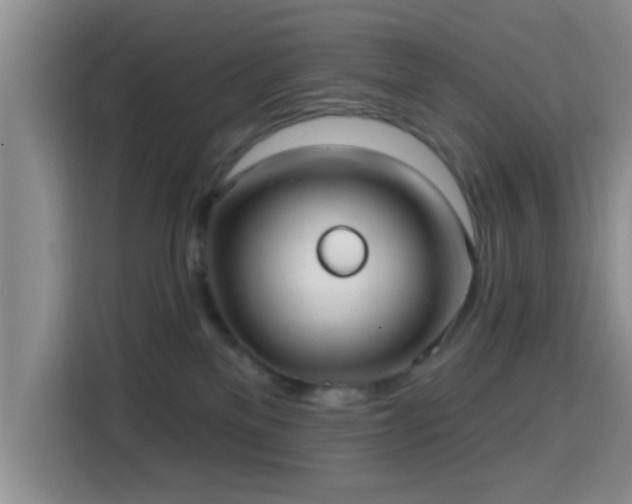 X0000115730137200911191420