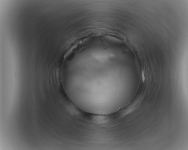 X0000115730139200911191420