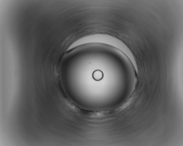 X0000115730140200911191419