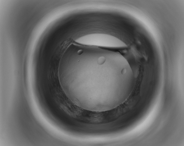 X0000115730143200911191419