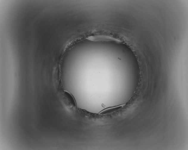 X0000115730144200911191419