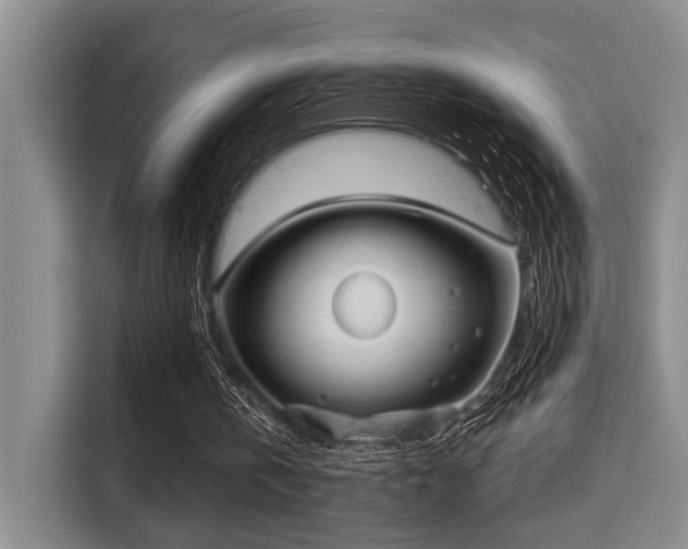 X0000115730146200911191419