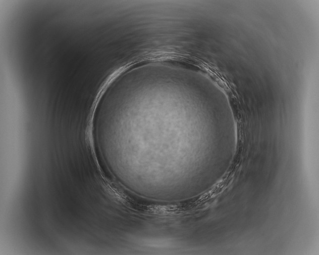 X0000115730147200911191419