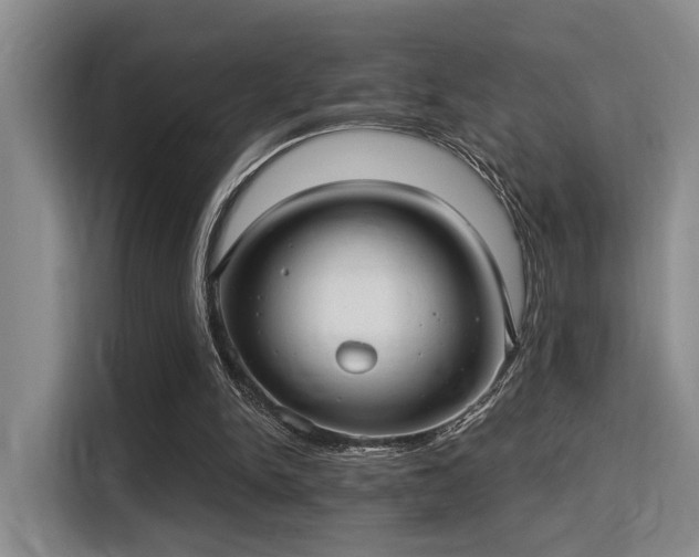 X0000115730150200911191419