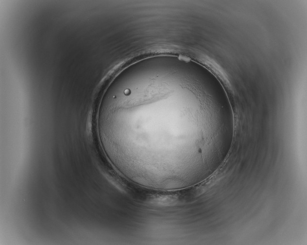 X0000115730155200911191419