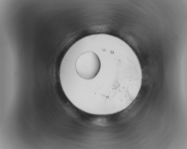 X0000115730162200911191419