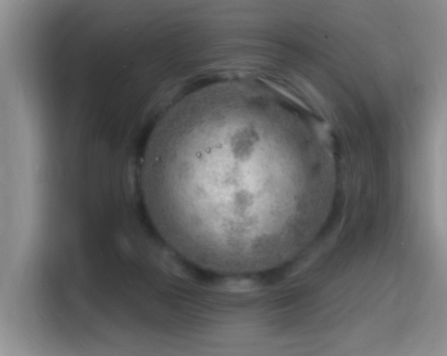 X0000115730169200911191419