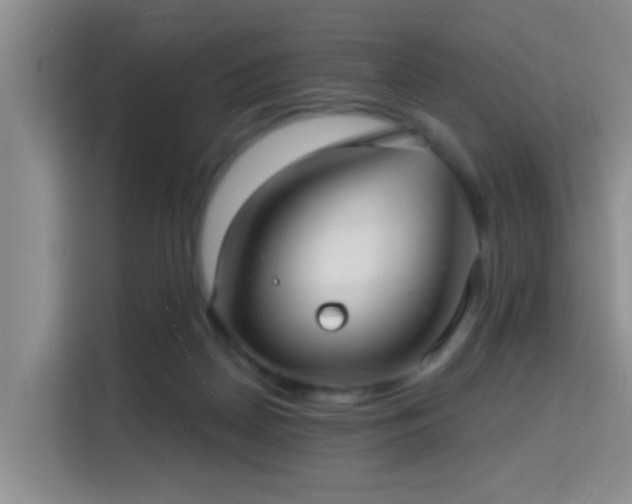 X0000115730170200911191419