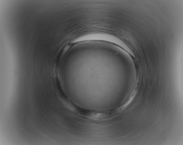 X0000115730174200911191419