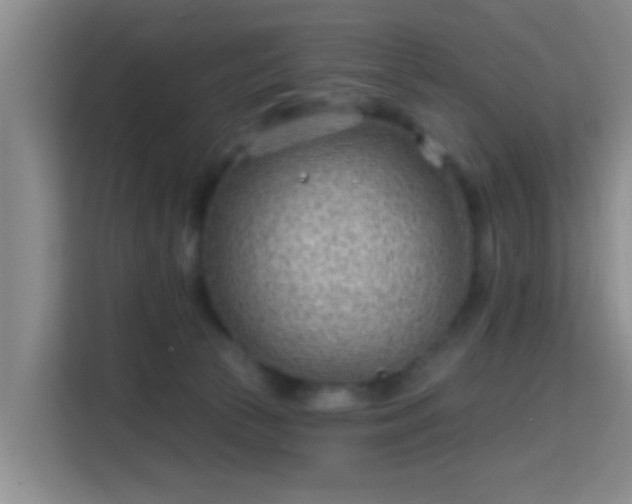 X0000115730177200911191419