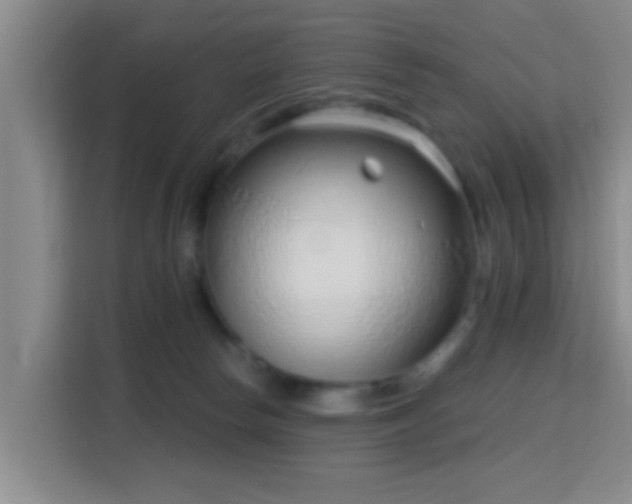 X0000115730178200911191419