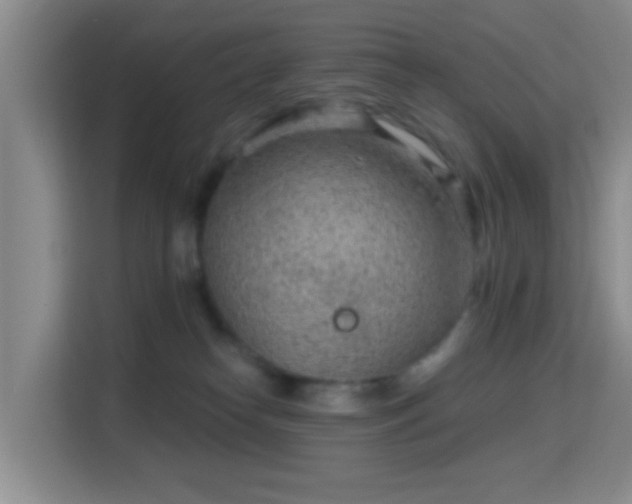 X0000115730182200911191419