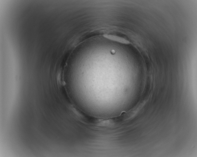 X0000115730185200911191419