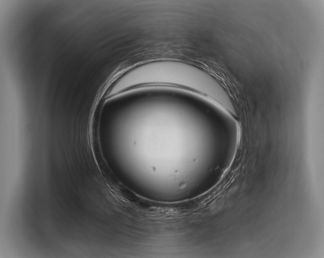 X0000115730195200911191419