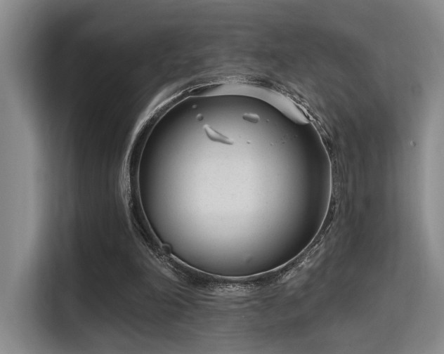 X0000115730198200911191419