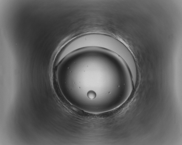 X0000115730199200911191419