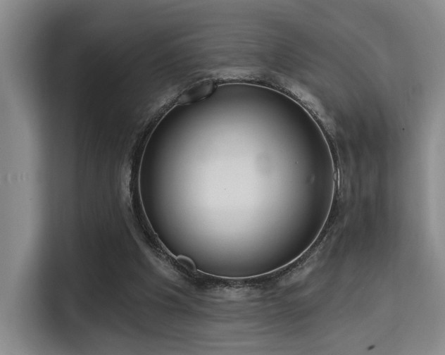 X0000115730201200911191419