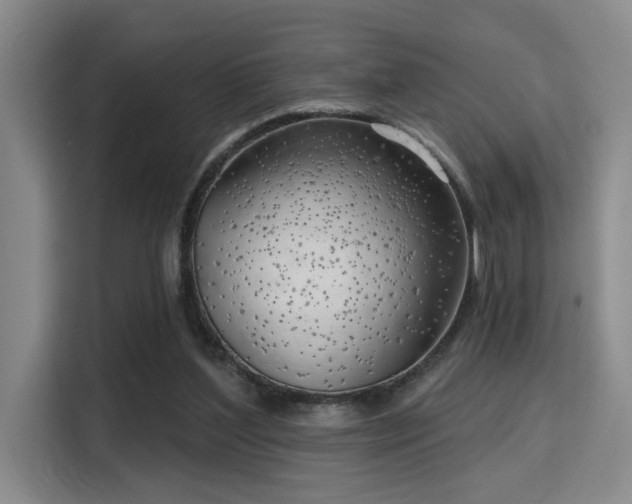 X0000115730204200911191419