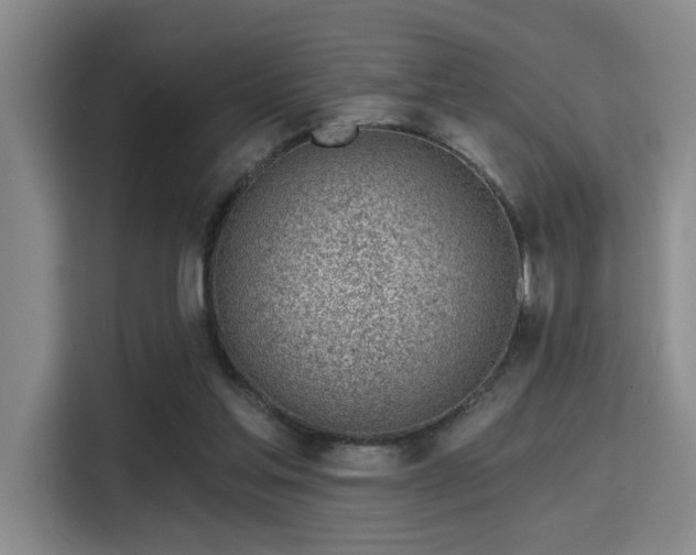 X0000115730205200911191419