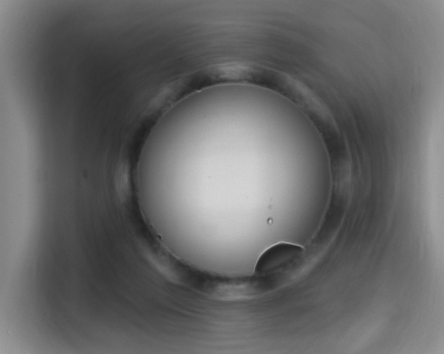 X0000115730213200911191419