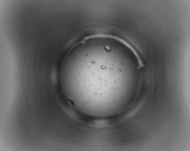 X0000115730216200911191419