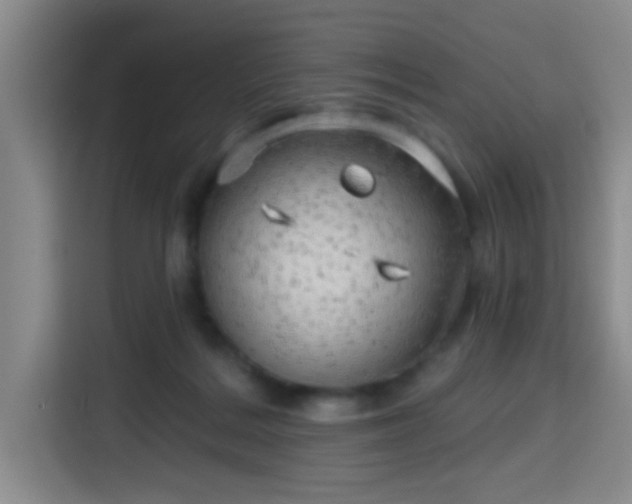 X0000115730220200911191418