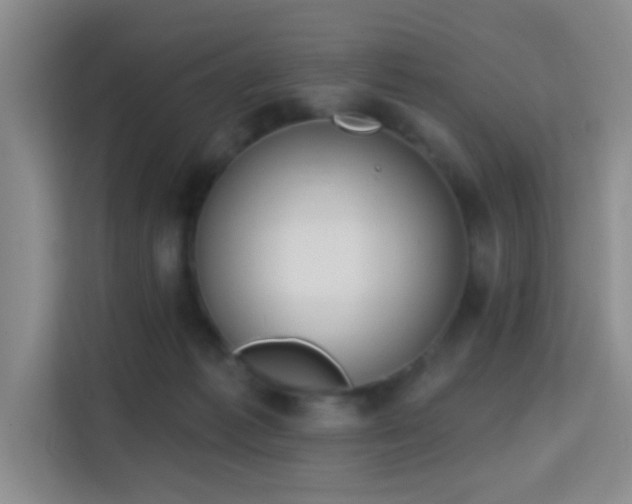 X0000115730221200911191418