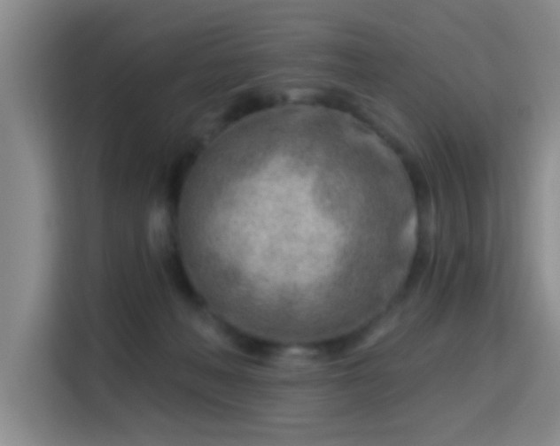 X0000115730222200911191418