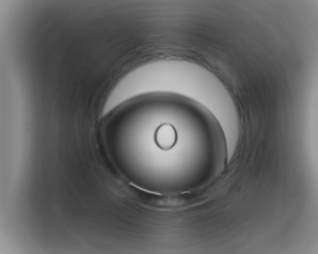 X0000115730225200911191418