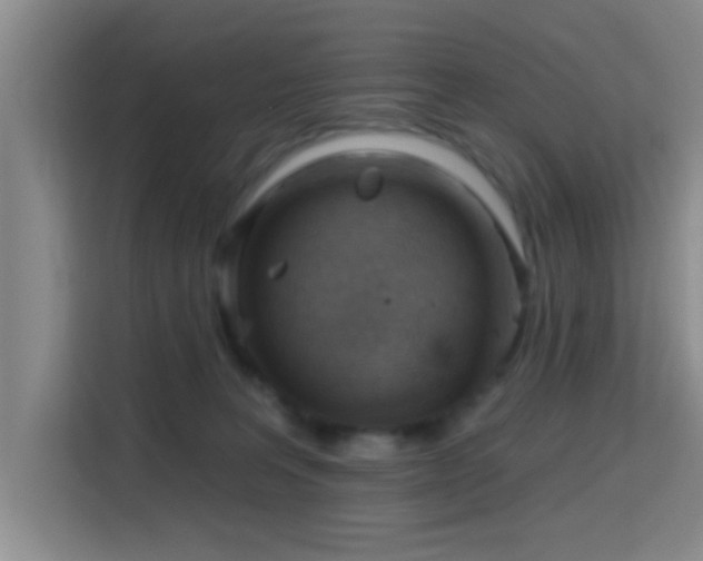 X0000115730227200911191418