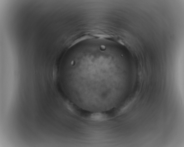 X0000115730231200911191418