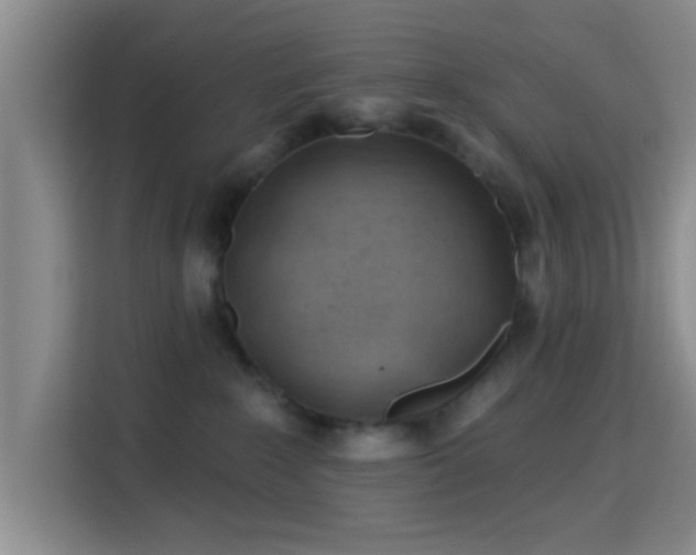 X0000115730235200911191418