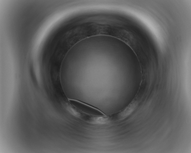 X0000115730239200911191418