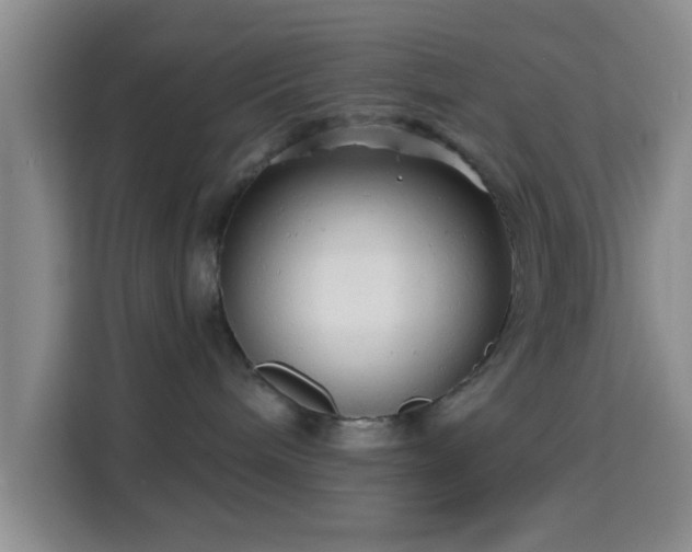 X0000115730240200911191418