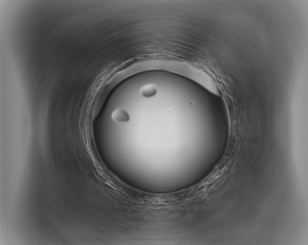 X0000115730241200911191418