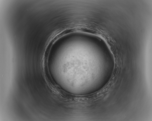 X0000115730242200911191418