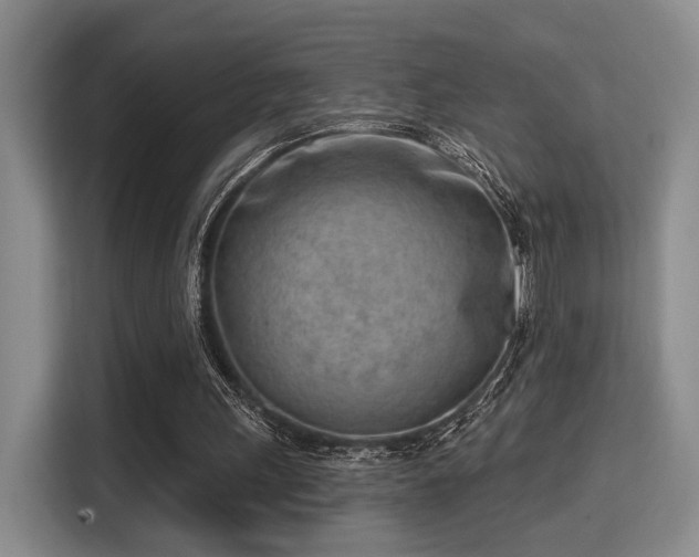 X0000115730243200911191418