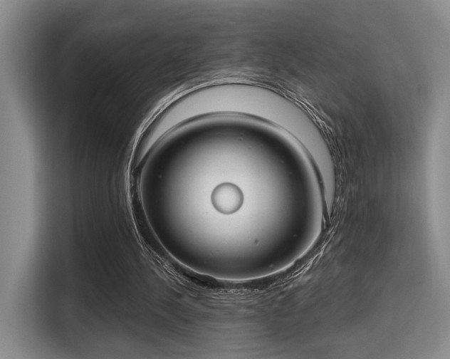 X0000115730244200911191418