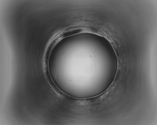 X0000115730245200911191418