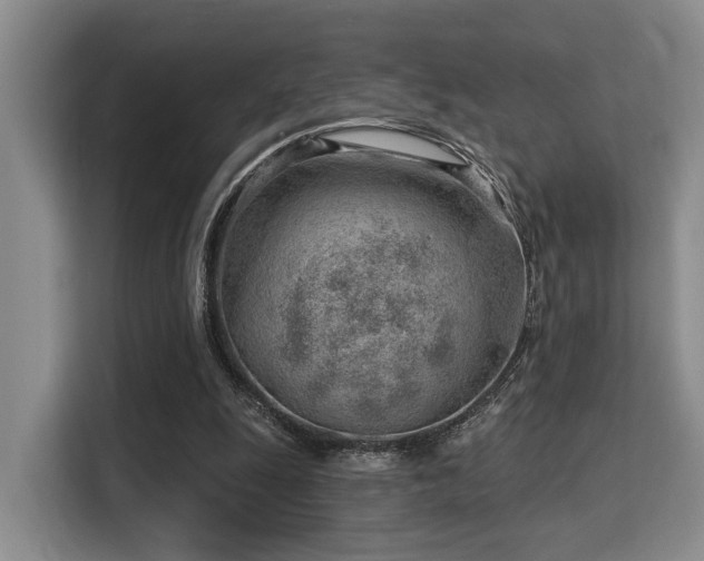 X0000115730247200911191418