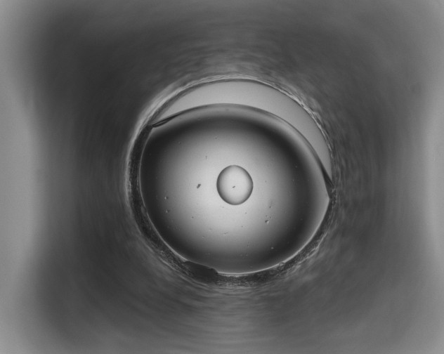 X0000115730248200911191418