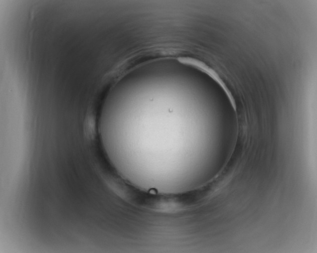 X0000115730262200911191418